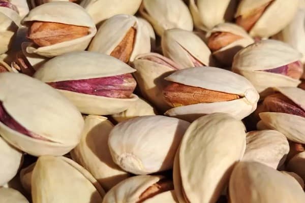 تصویر 2 از فروش پسته خندان احمد آقایی + قیمت خرید به صرفه